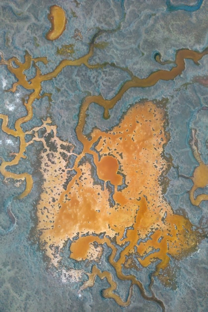 Puget Sound: Ecosystem Health and Conservation